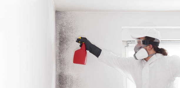 Best Bathroom Mold Remediation in Queens Gate, PA